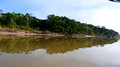 D21 and 22 Amazon Rainforest/Puerto Maldanato Peru